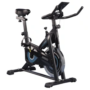 Bicicleta Spinning Winner WSP290