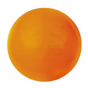 Bola De Pilates Gym Ball 45cm ACTE