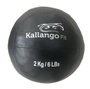 Wall Ball Basic 2kg Kallango